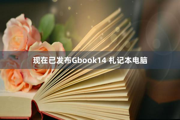 现在已发布Gbook14 札记本电脑