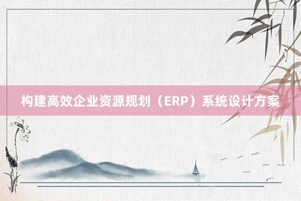 构建高效企业资源规划（ERP）系统设计方案